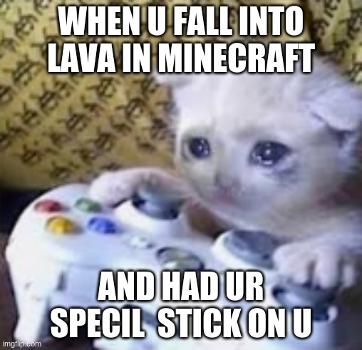 WHEN U FALL INTO LAVA IN MINECRAFT; AND HAD UR SPECIAL  STICK ON U | image tagged in memes | made w/ Imgflip meme maker