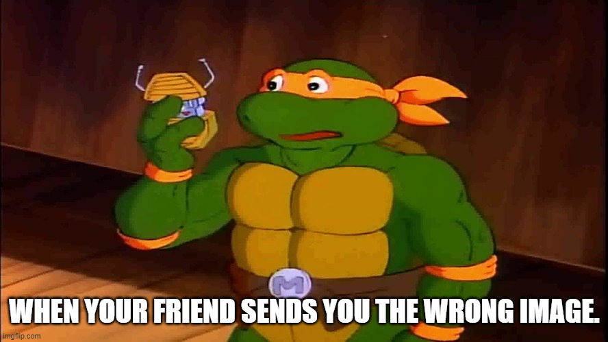 Mikey 87 turtle com | WHEN YOUR FRIEND SENDS YOU THE WRONG IMAGE. | image tagged in mikey 87 turtle com | made w/ Imgflip meme maker