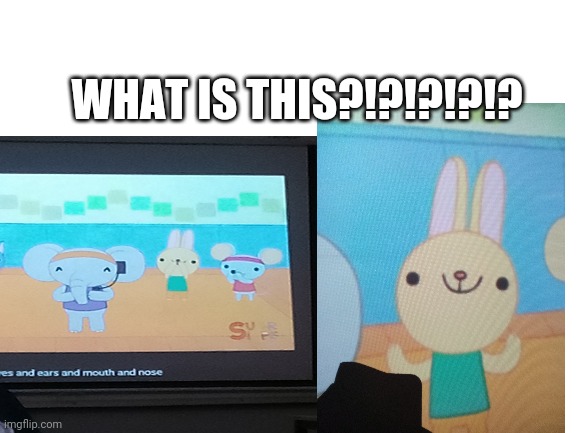 WHAT IS THIS?!?!?!?!? | image tagged in bunny | made w/ Imgflip meme maker