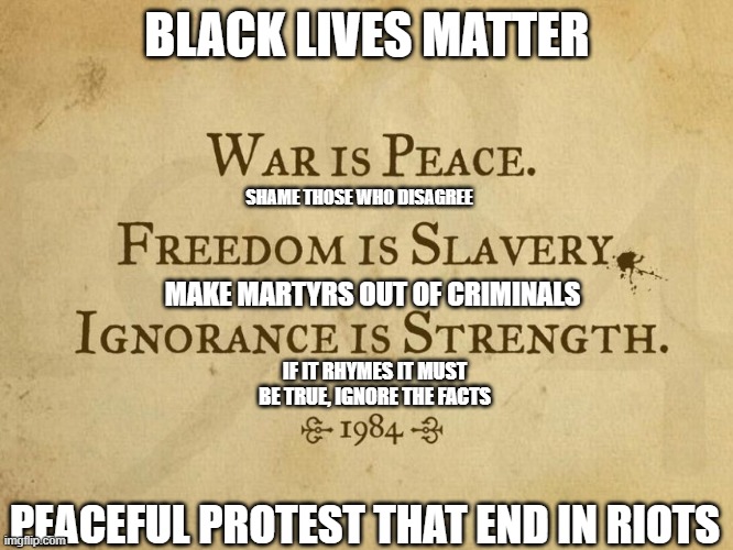 2020 is a prequel to 1984 | BLACK LIVES MATTER; SHAME THOSE WHO DISAGREE; MAKE MARTYRS OUT OF CRIMINALS; IF IT RHYMES IT MUST BE TRUE, IGNORE THE FACTS; PEACEFUL PROTEST THAT END IN RIOTS | image tagged in 1984 | made w/ Imgflip meme maker