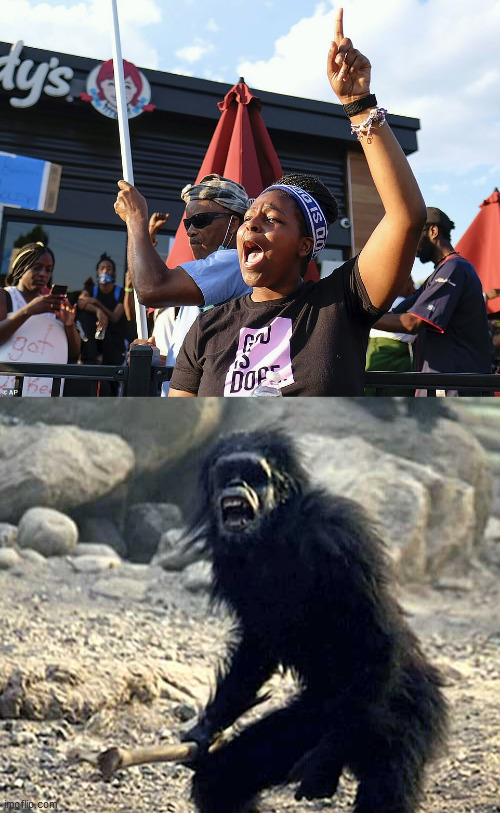 High Quality primates Blank Meme Template