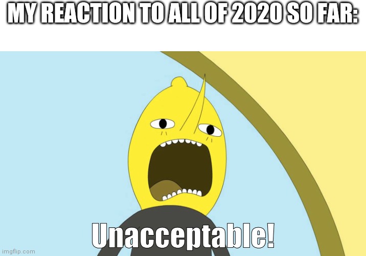 2020 reaction | MY REACTION TO ALL OF 2020 SO FAR: | image tagged in unacceptable | made w/ Imgflip meme maker