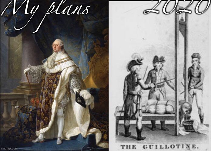 My Plans vs 2020 | 2020; My plans | image tagged in french revolution,guillotines,my plans,2020 | made w/ Imgflip meme maker