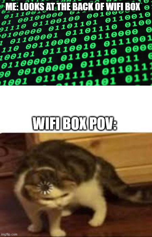 ME: LOOKS AT THE BACK OF WIFI BOX; WIFI BOX POV: | image tagged in confused | made w/ Imgflip meme maker