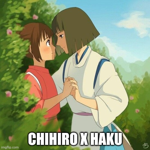 Spirited Away Ship | CHIHIRO X HAKU | image tagged in anime | made w/ Imgflip meme maker