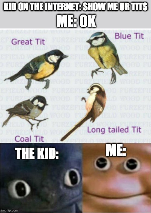 I love showing my tits |  ME: OK; KID ON THE INTERNET: SHOW ME UR TITS; THE KID:; ME: | image tagged in blank stare dragon,tits,funny,memes | made w/ Imgflip meme maker