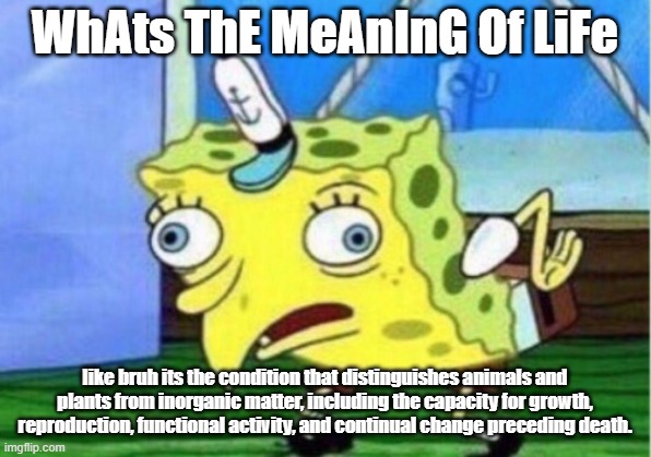 Miss me with that philosophical thought | WhAts ThE MeAnInG Of LiFe; like bruh its the condition that distinguishes animals and plants from inorganic matter, including the capacity for growth, reproduction, functional activity, and continual change preceding death. | image tagged in meme,hmmm,dad joke | made w/ Imgflip meme maker