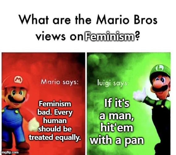 Mario Bros Views | Feminism; Feminism bad. Every human should be treated equally. If it's a man, hit'em with a pan | image tagged in mario bros views | made w/ Imgflip meme maker