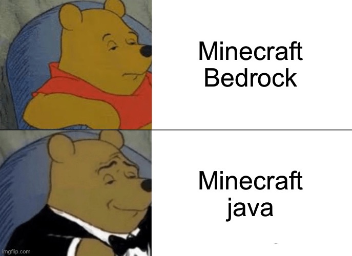 Tuxedo Winnie The Pooh | Minecraft Bedrock; Minecraft Java | image tagged in memes,tuxedo winnie the pooh | made w/ Imgflip meme maker