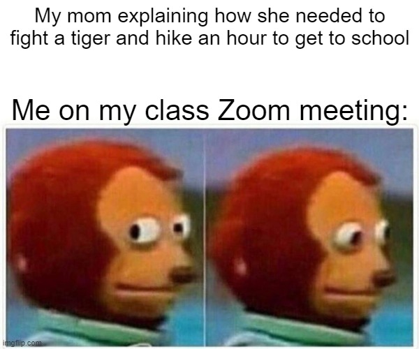 Monkey Puppet Meme | My mom explaining how she needed to fight a tiger and hike an hour to get to school; Me on my class Zoom meeting: | image tagged in memes,monkey puppet | made w/ Imgflip meme maker