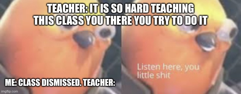 Listen here you little shit bird | TEACHER: IT IS SO HARD TEACHING THIS CLASS YOU THERE YOU TRY TO DO IT; ME: CLASS DISMISSED. TEACHER: | image tagged in listen here you little shit bird | made w/ Imgflip meme maker