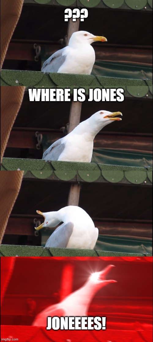 Inhaling Seagull | ??? WHERE IS JONES; JONEEEES! | image tagged in memes,inhaling seagull | made w/ Imgflip meme maker
