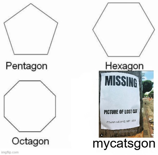 lol | mycatsgon | image tagged in memes,pentagon hexagon octagon | made w/ Imgflip meme maker