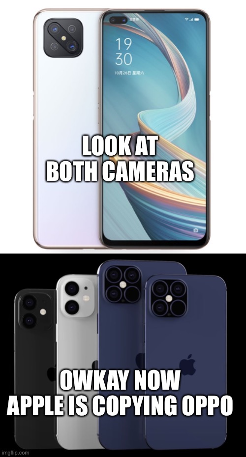 LOOK AT BOTH CAMERAS; OWKAY NOW APPLE IS COPYING OPPO | image tagged in apple,vs | made w/ Imgflip meme maker