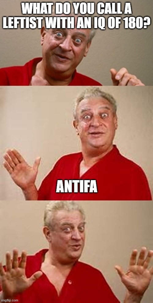 That just about Sums them up, I think | WHAT DO YOU CALL A LEFTIST WITH AN IQ OF 180? ANTIFA | image tagged in bad pun dangerfield,antifa | made w/ Imgflip meme maker