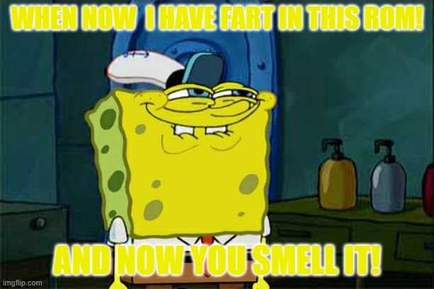(: | WHEN NOW  I HAVE FART IN THIS ROM! AND NOW YOU SMELL IT! | image tagged in memes,don't you squidward | made w/ Imgflip meme maker