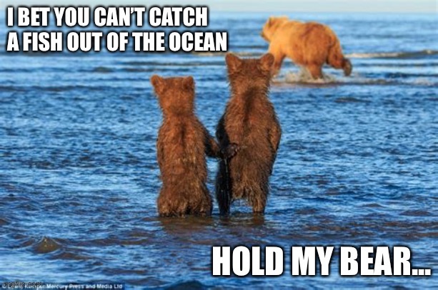Hold My Bear | image tagged in memes,bear,hold my beer,funny,cute,funny memes | made w/ Imgflip meme maker