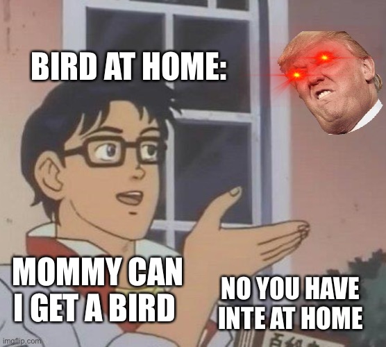 I want a bird | BIRD AT HOME:; MOMMY CAN I GET A BIRD; NO YOU HAVE INTE AT HOME | image tagged in memes | made w/ Imgflip meme maker