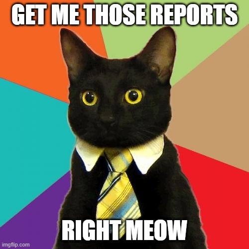 Business Cat Meme | GET ME THOSE REPORTS; RIGHT MEOW | image tagged in memes,business cat | made w/ Imgflip meme maker