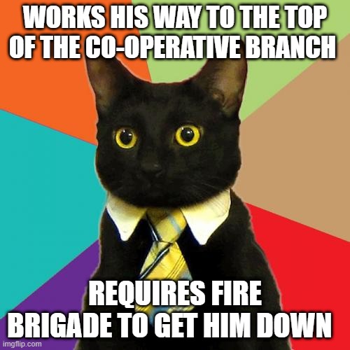 Business Cat Meme | WORKS HIS WAY TO THE TOP OF THE CO-OPERATIVE BRANCH; REQUIRES FIRE BRIGADE TO GET HIM DOWN | image tagged in memes,business cat | made w/ Imgflip meme maker