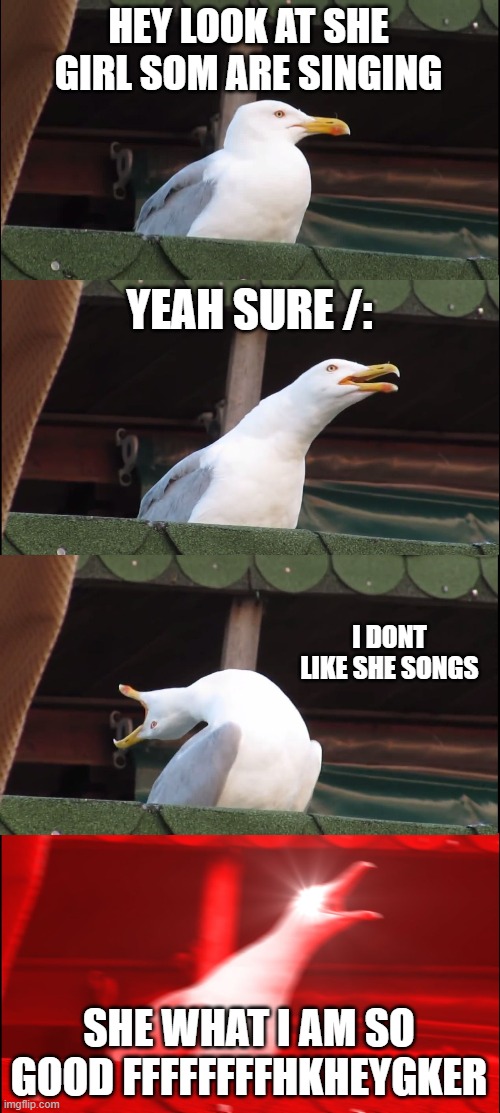 (/_ | HEY LOOK AT SHE GIRL SOM ARE SINGING; YEAH SURE /:; I DONT LIKE SHE SONGS; SHE WHAT I AM SO GOOD FFFFFFFFHKHEYGKER | image tagged in memes,inhaling seagull | made w/ Imgflip meme maker