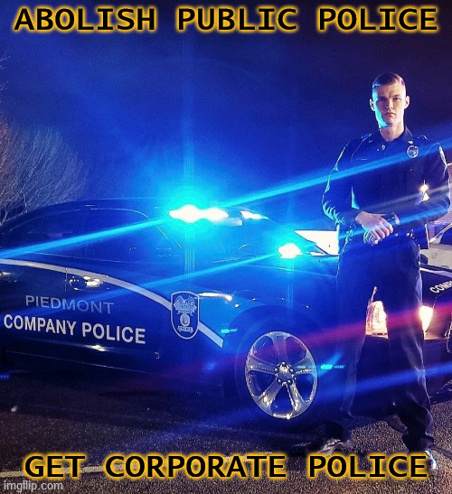 You want it, you got it. | ABOLISH PUBLIC POLICE; GET CORPORATE POLICE | image tagged in police,abolition,corporations,private security,expectation vs reality,be careful what you wish for | made w/ Imgflip meme maker