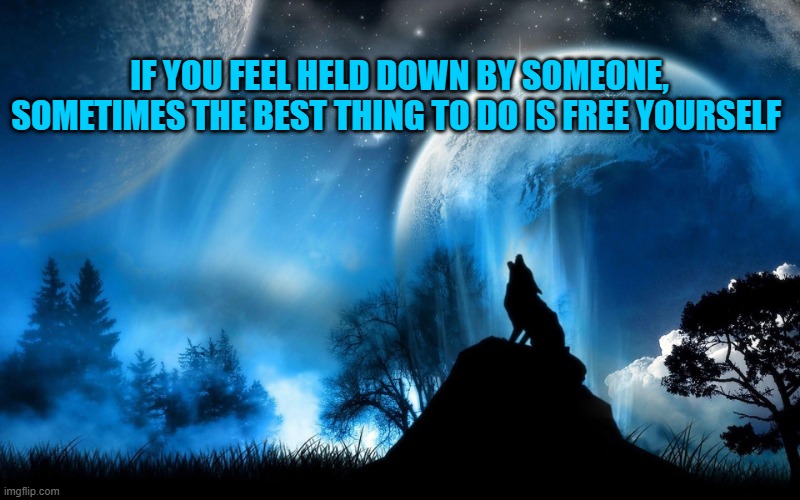 IF YOU FEEL HELD DOWN BY SOMEONE, SOMETIMES THE BEST THING TO DO IS FREE YOURSELF | made w/ Imgflip meme maker