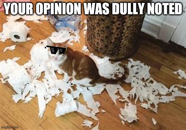 idc bout ur oppinion | YOUR OPINION WAS DULLY NOTED | image tagged in cat,paper | made w/ Imgflip meme maker