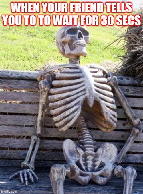 Waiting Skeleton | WHEN YOUR FRIEND TELLS YOU TO TO WAIT FOR 30 SECS | image tagged in memes,waiting skeleton | made w/ Imgflip meme maker