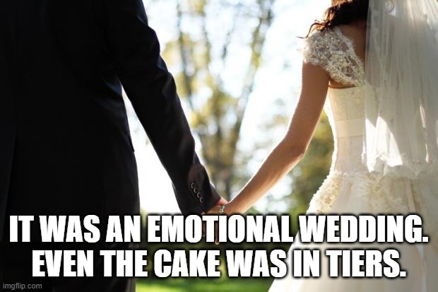 wedding | IT WAS AN EMOTIONAL WEDDING. EVEN THE CAKE WAS IN TIERS. | image tagged in wedding | made w/ Imgflip meme maker