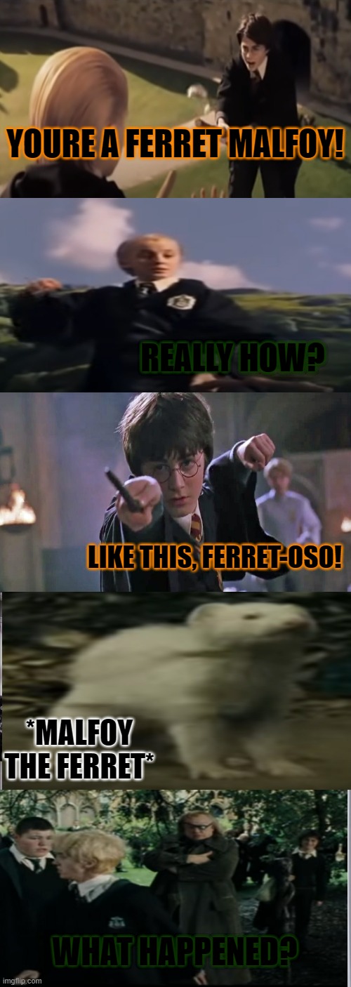 Malfoy the ferret | YOURE A FERRET MALFOY! REALLY HOW? LIKE THIS, FERRET-OSO! *MALFOY THE FERRET*; WHAT HAPPENED? | image tagged in memes,harry potter | made w/ Imgflip meme maker
