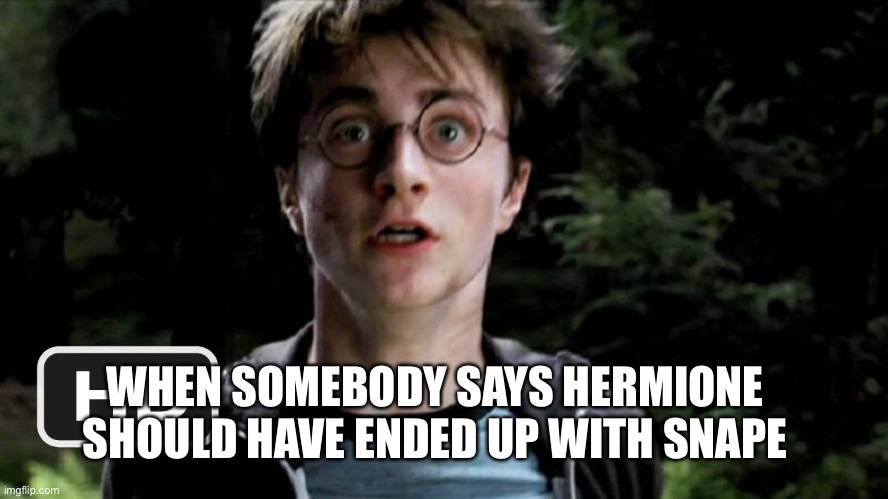Very weird moment lol | WHEN SOMEBODY SAYS HERMIONE SHOULD HAVE ENDED UP WITH SNAPE | image tagged in harry potter,shipping,funny,funny memes | made w/ Imgflip meme maker