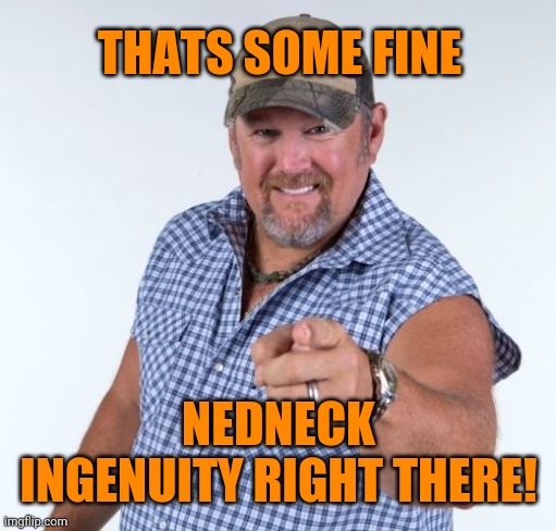 Larry the Cable Guy | THATS SOME FINE NEDNECK INGENUITY RIGHT THERE! | image tagged in larry the cable guy | made w/ Imgflip meme maker