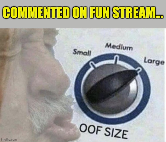 Oof size large | COMMENTED ON FUN STREAM... | image tagged in oof size large | made w/ Imgflip meme maker