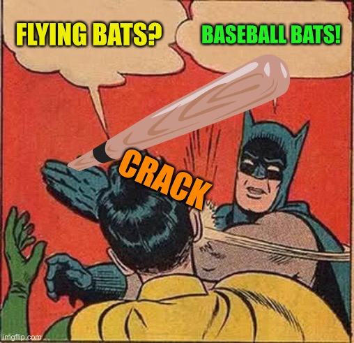 Batman Slapping Robin Meme | FLYING BATS? BASEBALL BATS! CRACK | image tagged in memes,batman slapping robin | made w/ Imgflip meme maker