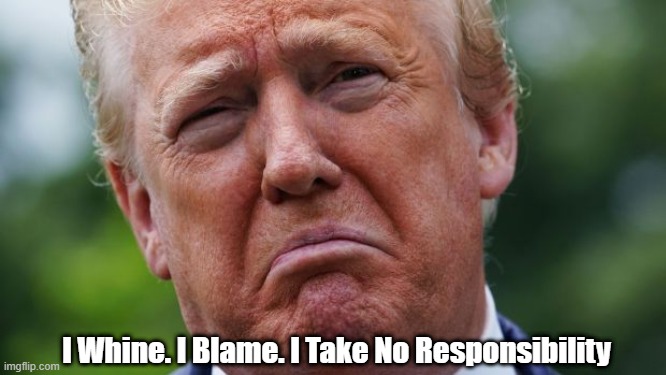 "I Whine. I Blame. I Take No Responsibility. And -- Most Remarkably -- You Know Who I Am Without Needing To Be Told" | I Whine. I Blame. I Take No Responsibility | image tagged in the party of personal responsibility,i whine,i blame,i take no responsibility | made w/ Imgflip meme maker