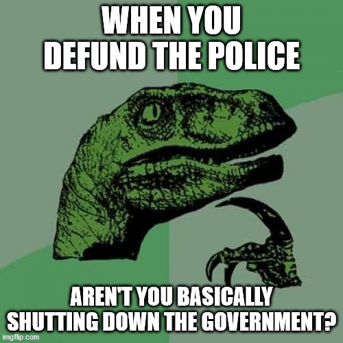 Philosoraptor | WHEN YOU DEFUND THE POLICE; AREN'T YOU BASICALLY SHUTTING DOWN THE GOVERNMENT? | image tagged in memes,philosoraptor | made w/ Imgflip meme maker