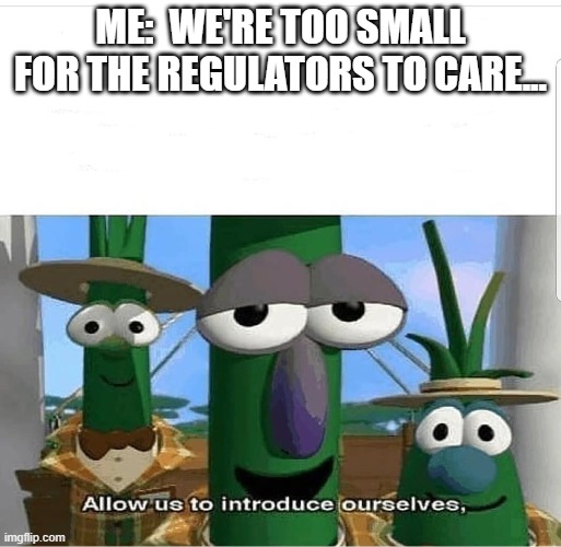Too small to regulate | ME:  WE'RE TOO SMALL FOR THE REGULATORS TO CARE... | image tagged in allow us to introduce ourselves | made w/ Imgflip meme maker