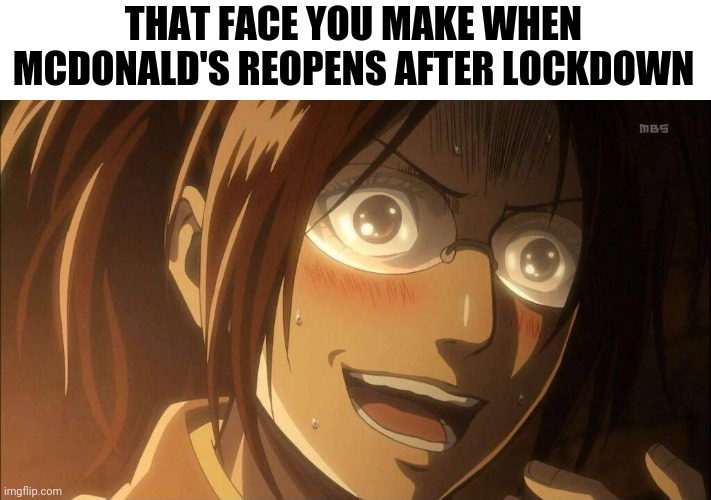 Mcdonalds | THAT FACE YOU MAKE WHEN MCDONALD'S REOPENS AFTER LOCKDOWN | image tagged in funny memes | made w/ Imgflip meme maker