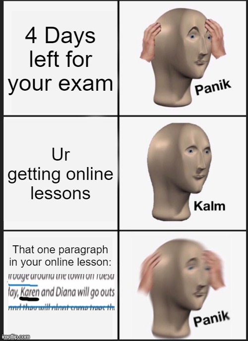 Karen!? | 4 Days left for your exam; Ur getting online lessons; That one paragraph in your online lesson: | image tagged in memes,panik kalm panik | made w/ Imgflip meme maker