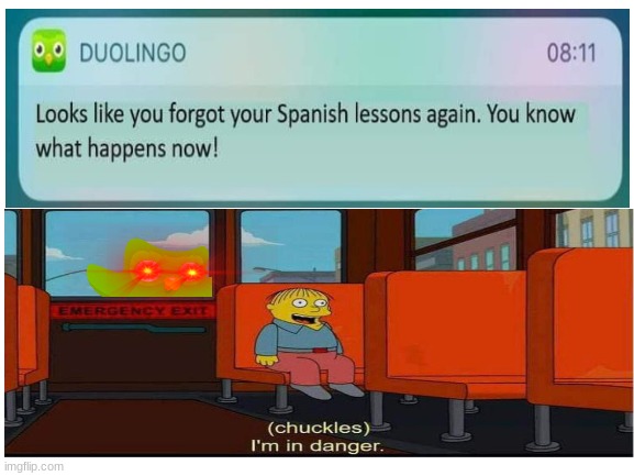 adios amigo | image tagged in duolingo bird,memes,funny | made w/ Imgflip meme maker