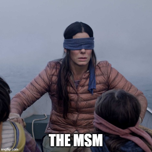 Bird Box Meme | THE MSM | image tagged in memes,bird box | made w/ Imgflip meme maker