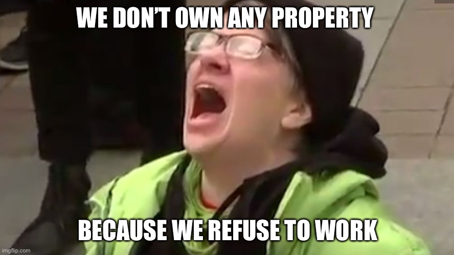 Screaming Liberal  | WE DON’T OWN ANY PROPERTY BECAUSE WE REFUSE TO WORK | image tagged in screaming liberal | made w/ Imgflip meme maker