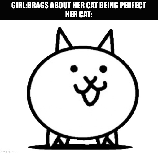 Cat meme | GIRL:BRAGS ABOUT HER CAT BEING PERFECT

HER CAT: | image tagged in battle cats basic cat,memes,cats,fun,bragging,not what it seams | made w/ Imgflip meme maker