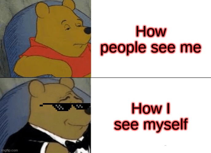 My prospective | How people see me; How I see myself | image tagged in memes,tuxedo winnie the pooh | made w/ Imgflip meme maker