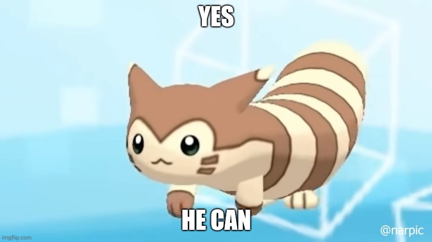 Furret Walcc | YES HE CAN | image tagged in furret walcc | made w/ Imgflip meme maker