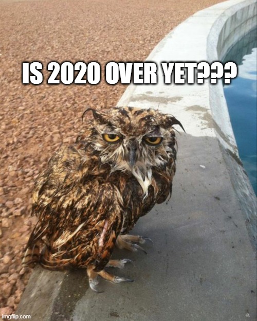 2020 | IS 2020 OVER YET??? | image tagged in 2020 | made w/ Imgflip meme maker
