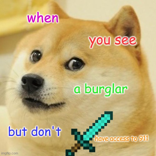 The moment when i go yeet | when; you see; a burglar; but don't; have access to 911 | image tagged in memes,doge | made w/ Imgflip meme maker