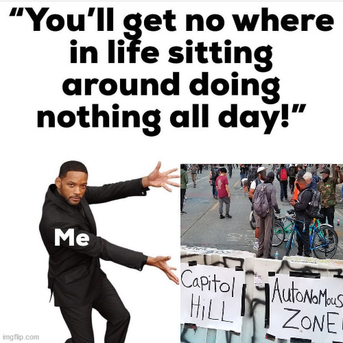 It is like kids used to take blankets and make a fort. | image tagged in antifa,blm,leftists,communist socialist | made w/ Imgflip meme maker