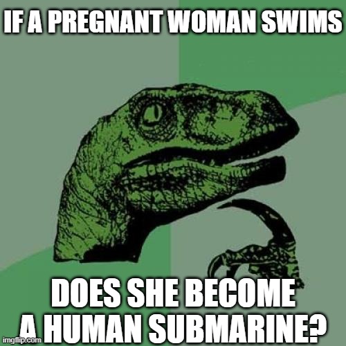 A human submarine | IF A PREGNANT WOMAN SWIMS; DOES SHE BECOME A HUMAN SUBMARINE? | image tagged in memes,philosoraptor,funny,submarine,pregnant | made w/ Imgflip meme maker